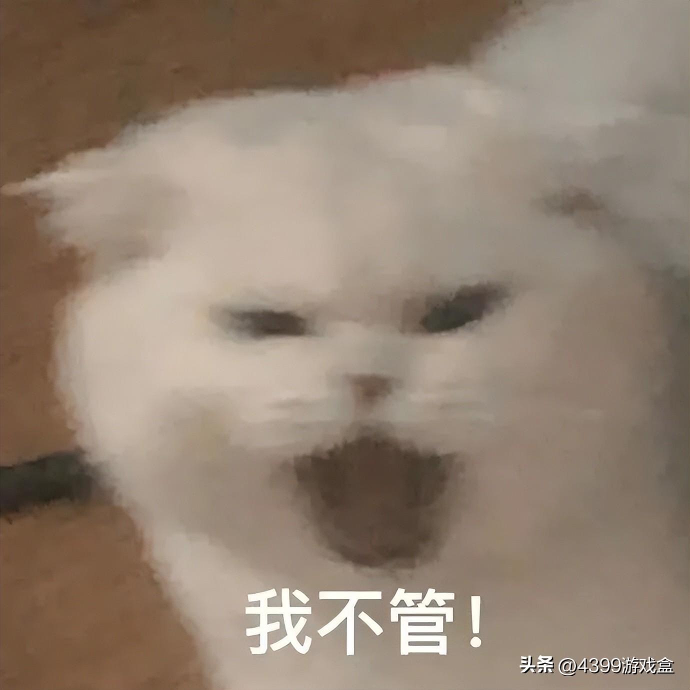 洛克王国手游啥时候出（洛克王国手游进度到哪里了）