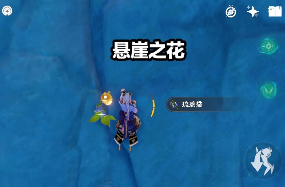 雷电将军突破材料（获得难度是T0级的突破材料）