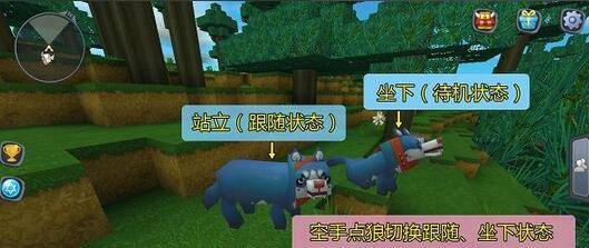 迷你世界怎么驯服狼(狼驯服方法分享) 迷你世界怎么驯服狼(狼驯服方法分享)
