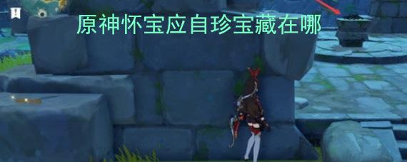 怀宝应自珍宝藏在什么位置（挖掘、寻找宝藏的技巧介绍）
