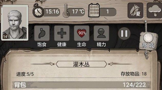 荒野日记攻略一览大全（生存技巧与资源获得）