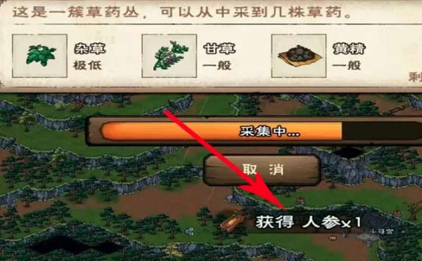 烟雨江湖快速刷人参（人参获得心得及烟雨江湖人参刷取攻略一览）