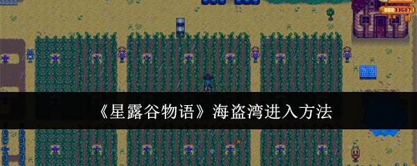 星露谷物语海盗湾如何进入（海盗湾进入方法一览）