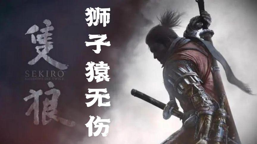 只狼通关后的下一个目标（完成狮子猿后及继续踏上新的征程）